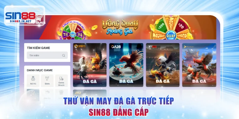 Thử vận may đá gà trực tiếp SIN88 đẳng cấp